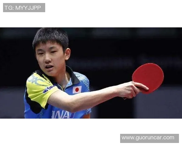 深入探讨杭州乒乓球队各队员个人能力差异与发展潜力分析